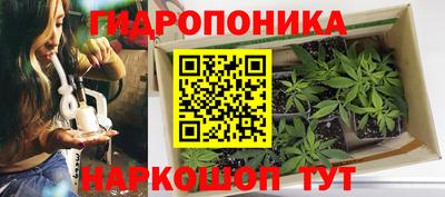 ГАЛЛЮЦИНОГЕННЫЕ ГРИБЫ Бугуруслан